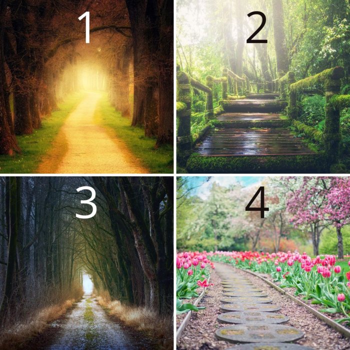 Melyik ösvény a kedvenced? Mély titkokat árul el rólad