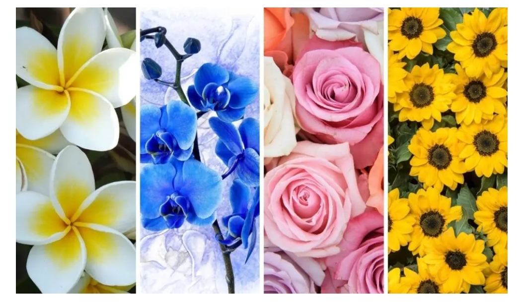 A virág megmutatja mi a legnagyobb kihívás az életedben - Teszt