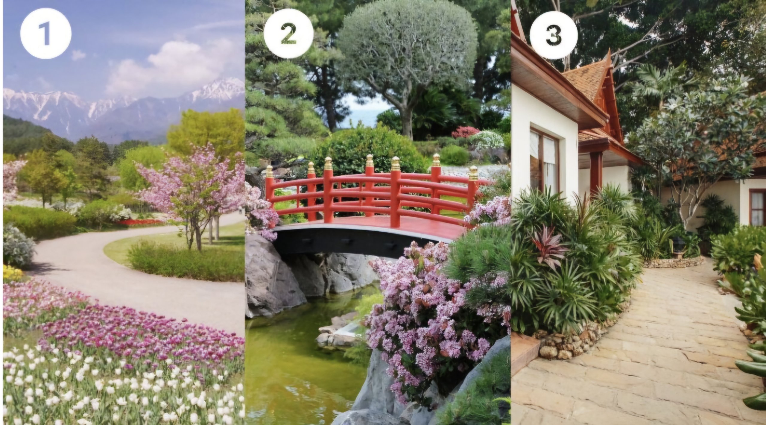 Melyik kert a kedvenced? Ez sokat elmond a személyiségedről