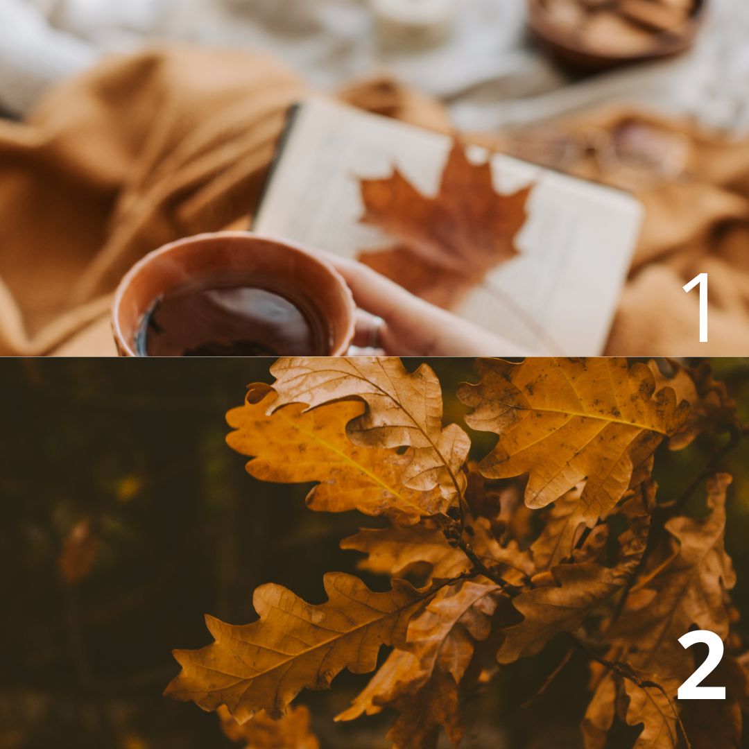 Mi a kedvenced az őszben? A lelkedről mesél a válaszod