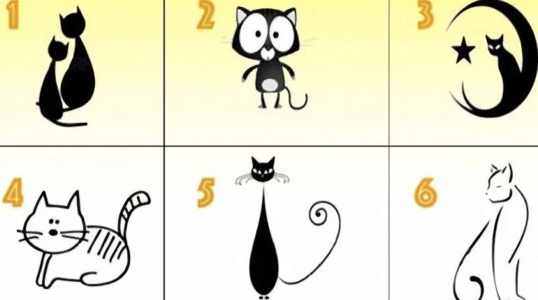 Melyik macska a tied? Ebből kiderül milyen ember is vagy valójában