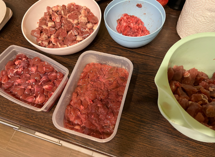 Bengáli macskák etetése házilag nyers hússal