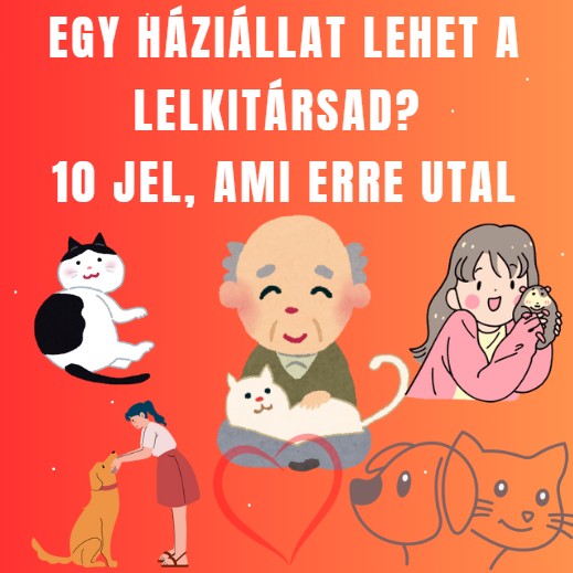 Egy háziállat lehet a lelkitársad? 10 jel, ami erre utal