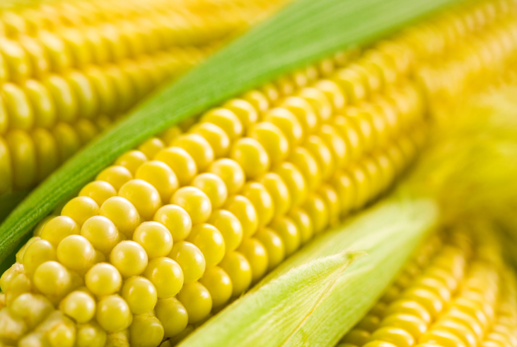 Ilyen finom főtt kukoricát még sosem ettél - Így készítsd el!