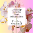 Meseszép Orchidea Farm Szlovéniában - Ez a hely elvarázsol