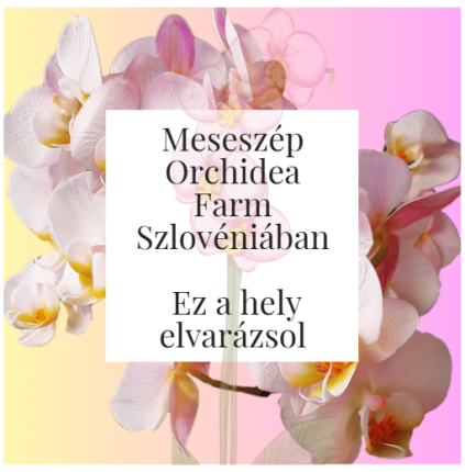 Meseszép Orchidea Farm Szlovéniában - Ez a hely elvarázsol