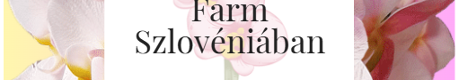 Meseszép Orchidea Farm Szlovéniában - Ez a hely elvarázsol