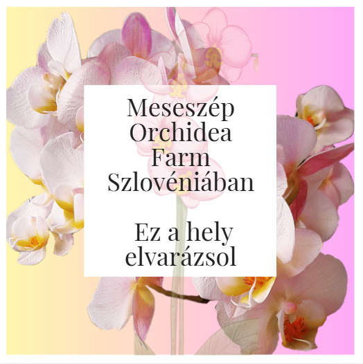 Meseszép Orchidea Farm Szlovéniában - Ez a hely elvarázsol