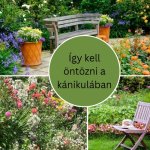 Így kell öntözni a kánikulában