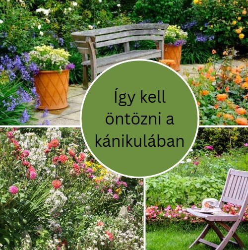 Így kell öntözni a kánikulában