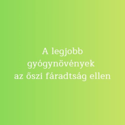 A legjobb gyógynövények az őszi fáradtság ellen