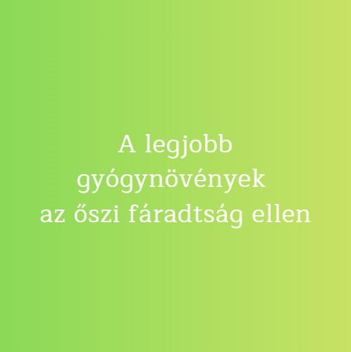 A legjobb gyógynövények az őszi fáradtság ellen